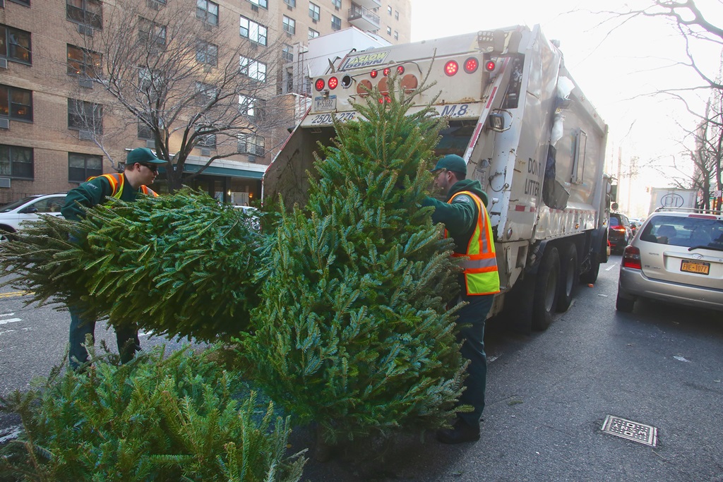christmas trees recycling